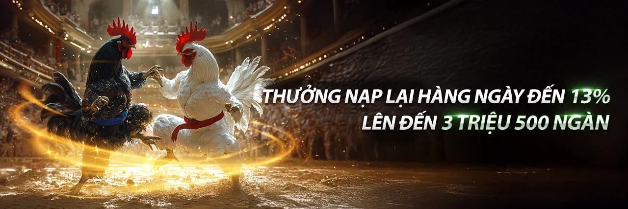 Sảnh Thể Thao M888 với không gian hiện đại và chuyên nghiệp